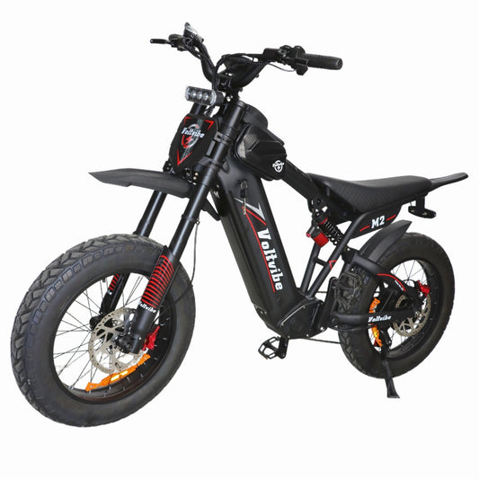 MOYDAR VoltVibe M2 Electric Bike