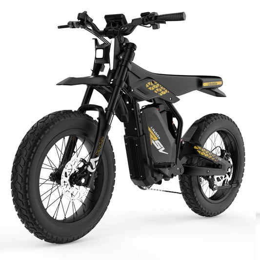 MOYDAR SV01 electric dirt bike