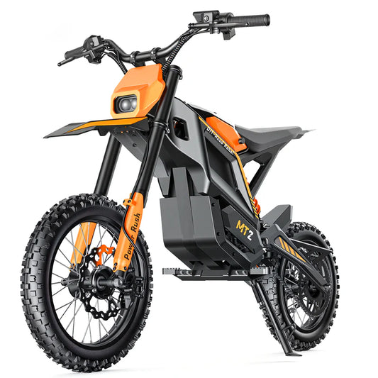 MOYDAR Lightning X White / Black 14-16 inch tire E-Motorcycle | Battery removable charging E-Moto