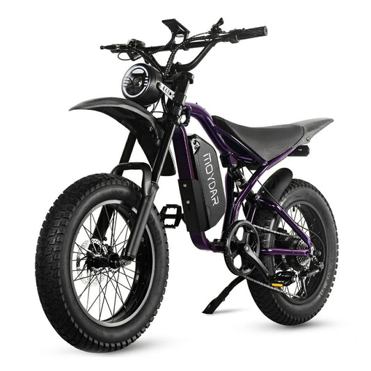 MOYDAR  QL200  - Jecham 1200W 48V 15A Electric Bicycle