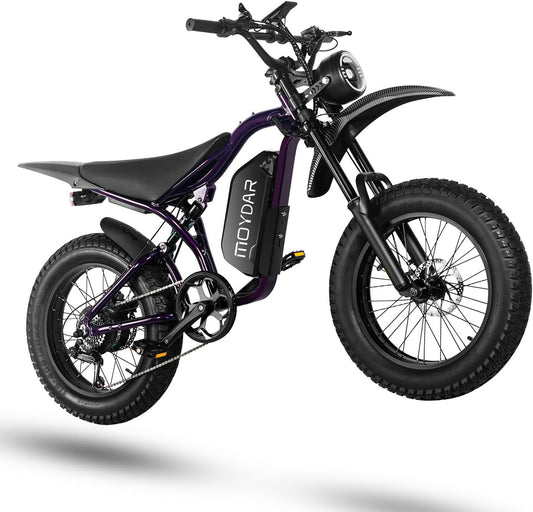 MOYDAR  QL200  - Jecham 1200W 48V 15A Electric Bicycle