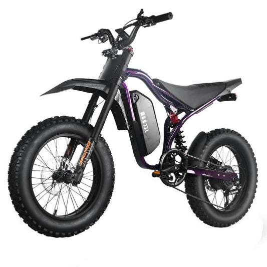 MOYDAR Jecham 1500W QL100 Electric Bicycle