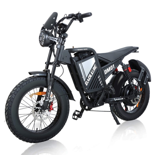 MOYDAR DM01 Electric Bicycles