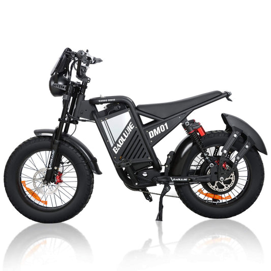 MOYDAR DM01 Electric Bicycles